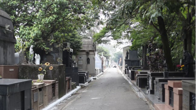 Acusan a dos hermanos de asesinar a su papá tras haberlo citado en la tumba de su mamá en Brasil