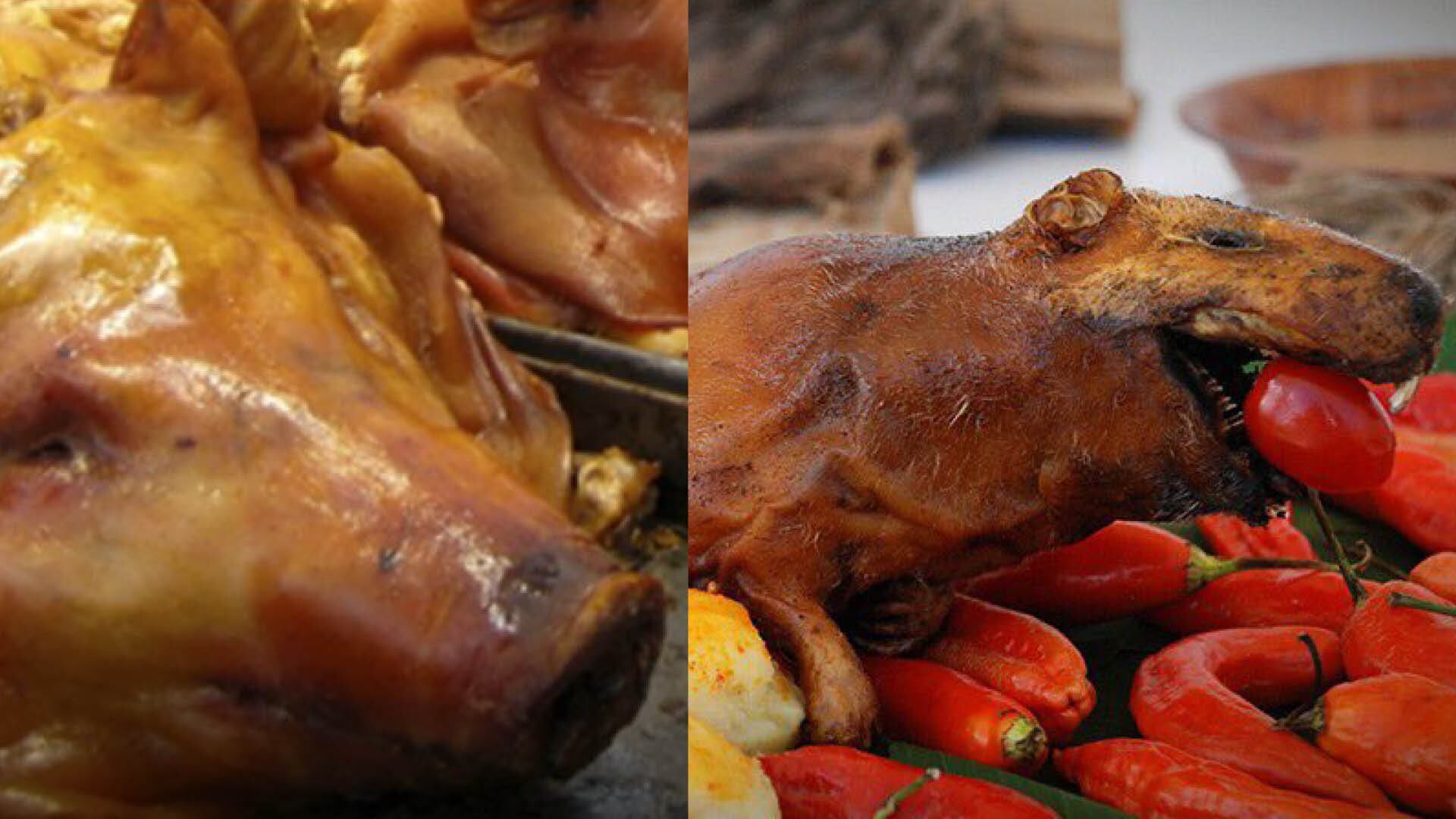 Ministerio de Turismo