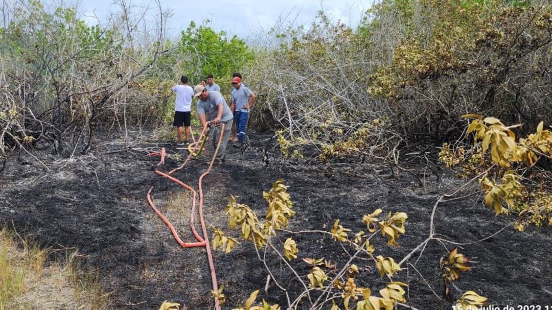 Una fogata acabó con casi media hectárea de bosque de manglar en Isabela, Galápagos