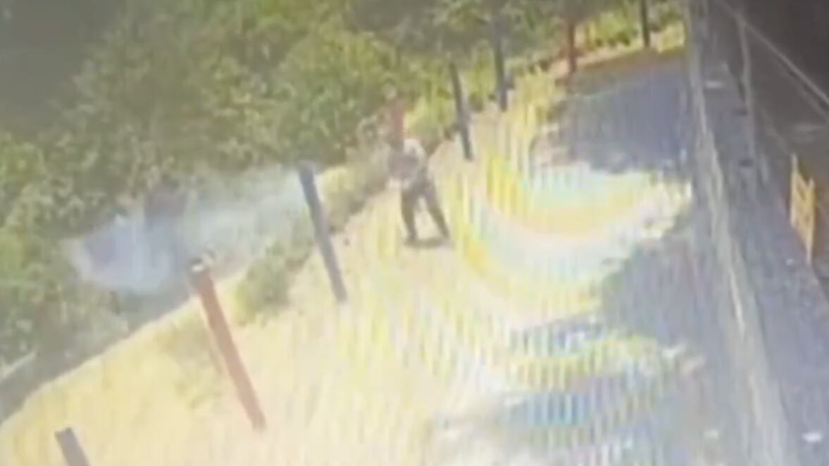 Investigan video donde se ve a sujeto provocando un incendio en Quito