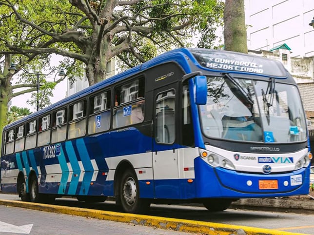 Guayaquil ofrece transporte público gratuito y suspende parquímetros durante feriado de Año Nuevo