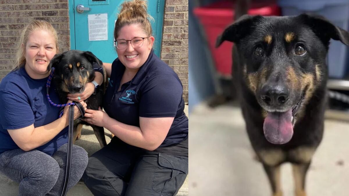 Perro fue abandonado por ser gay