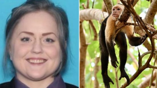 Mujer financiaba videos violentos contra monos en Estados Unidos: fue declarada culpable - Fuente: Foto de la web