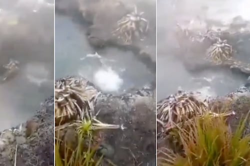 Video: ¿Existe riesgo de erupción en volcán Chiles de Carchi respecto a imágenes de aguas termales difundidas en redes?