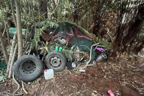 Imágenes revelan cómo sobrevivieron los hijos de Tom Phillips en un campamento de Nueva Zelanda