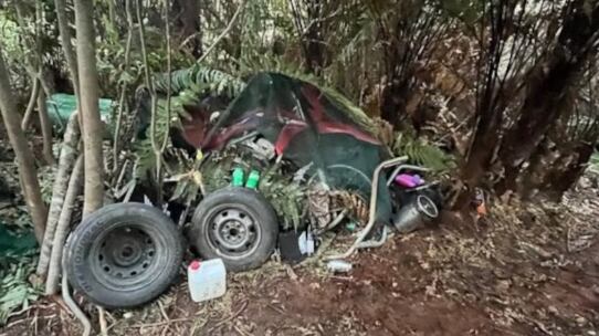 La vida de los hijos de Tom Phillips en un campamento aislado de Nueva Zelanda