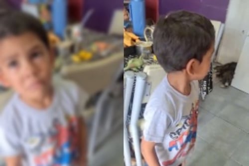 Volvió a vivir con su madre y días después murió en circunstancias que investigan