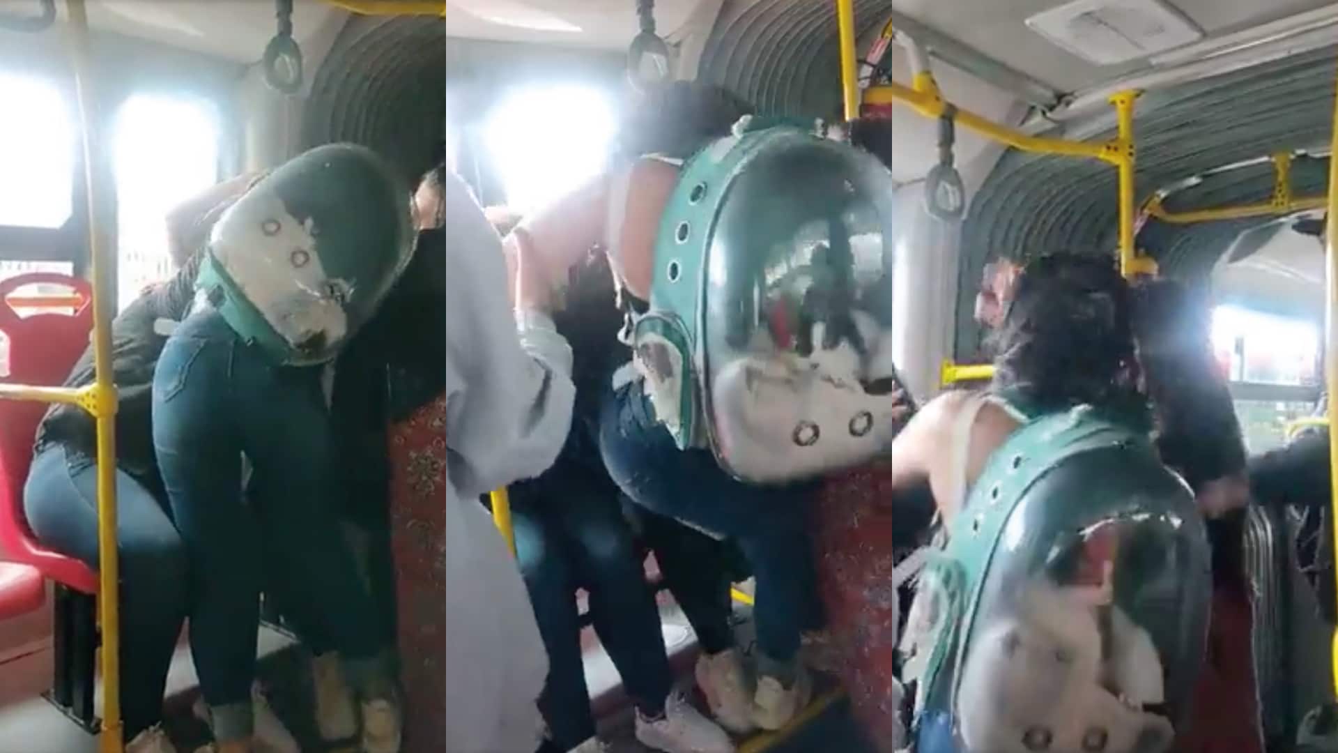 Los comentarios destacan por referirse al gato que estaba en una mochila de transporte de mascotas