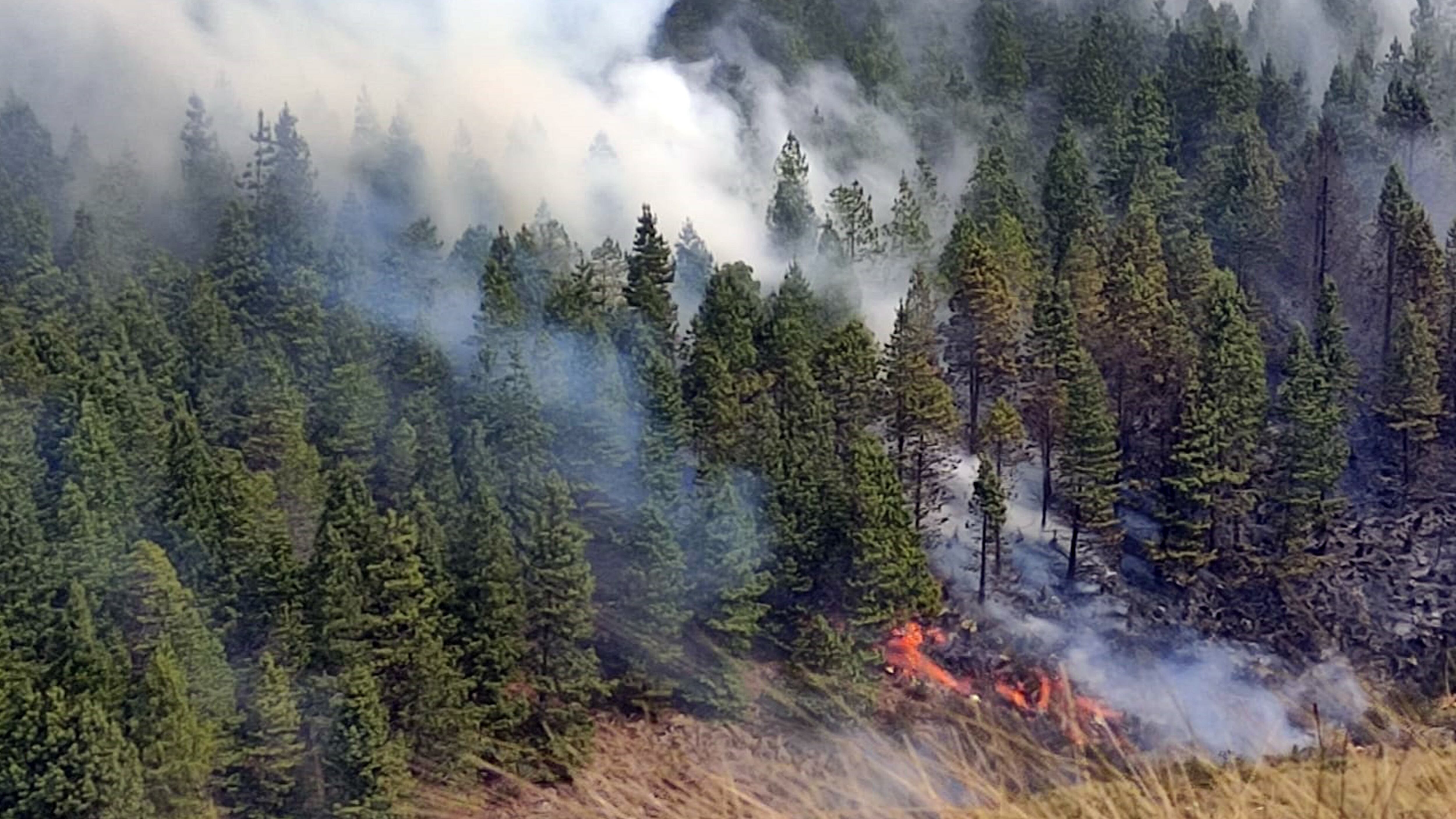 El parque nacional se cierra al público tras incendios forestales