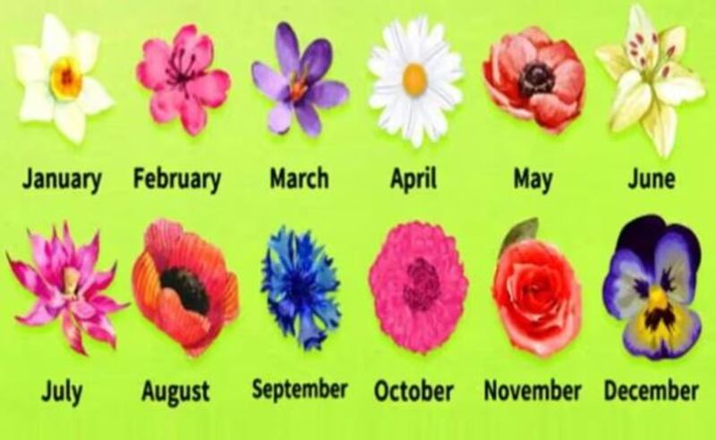 Flores según el mes del año