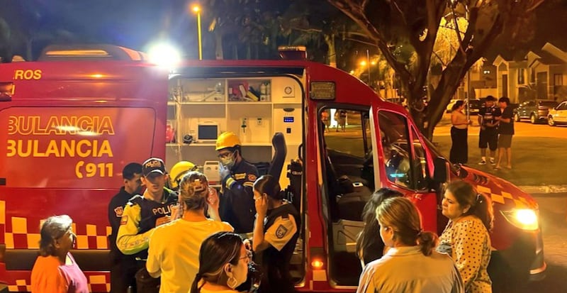 Un conductor embistió con su vehículo el portón de ingreso y lo derribó, dejando a un guardia de seguridad herido.