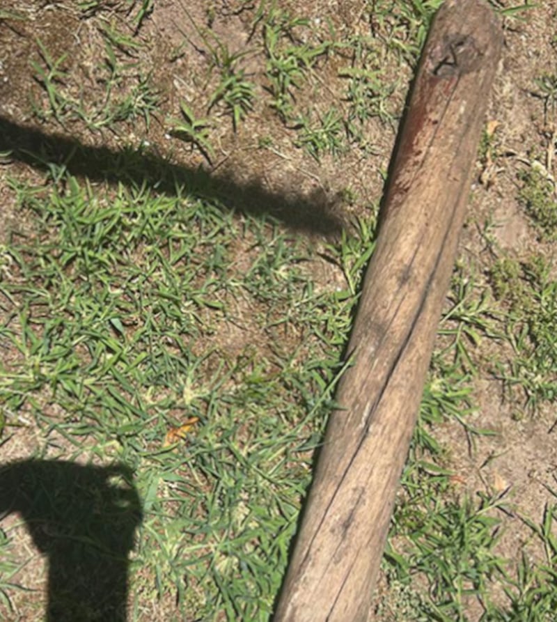 Hombre asesinó a su padre a palazos y confesó el crimen por teléfono - Fuente: Foto de la web