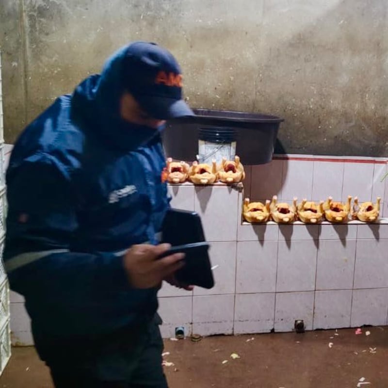 Pollos listos para su comercialización encontrados en condiciones insalubres