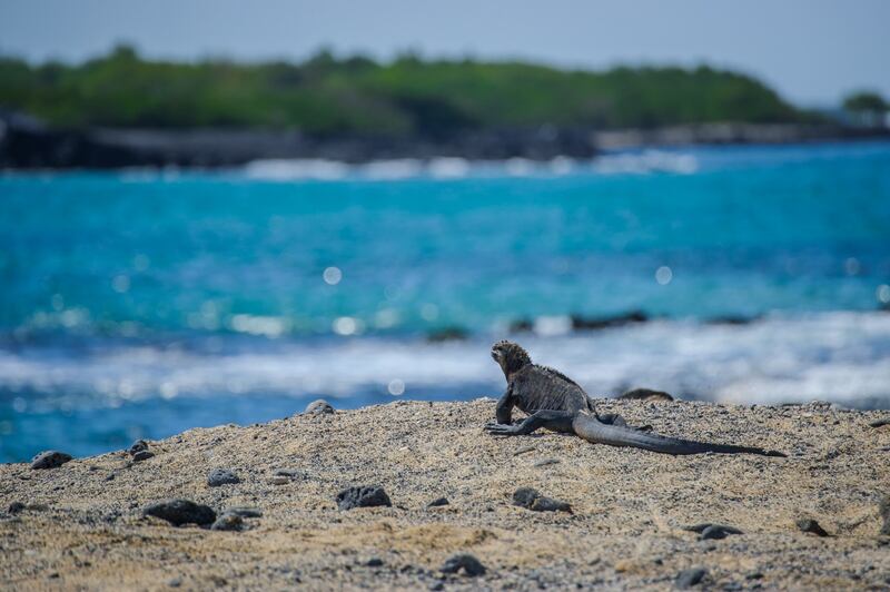 Región Insular. El atardecer de intensos colores que nos regala cada lugar de las Islas Galápagos.