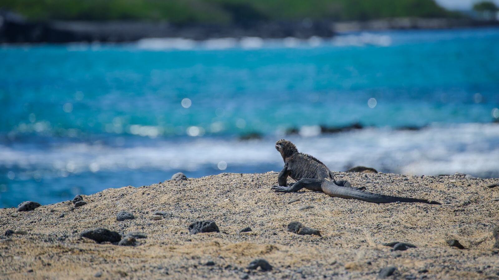 Región Insular. El atardecer de intensos colores que nos regala cada lugar de las Islas Galápagos.
