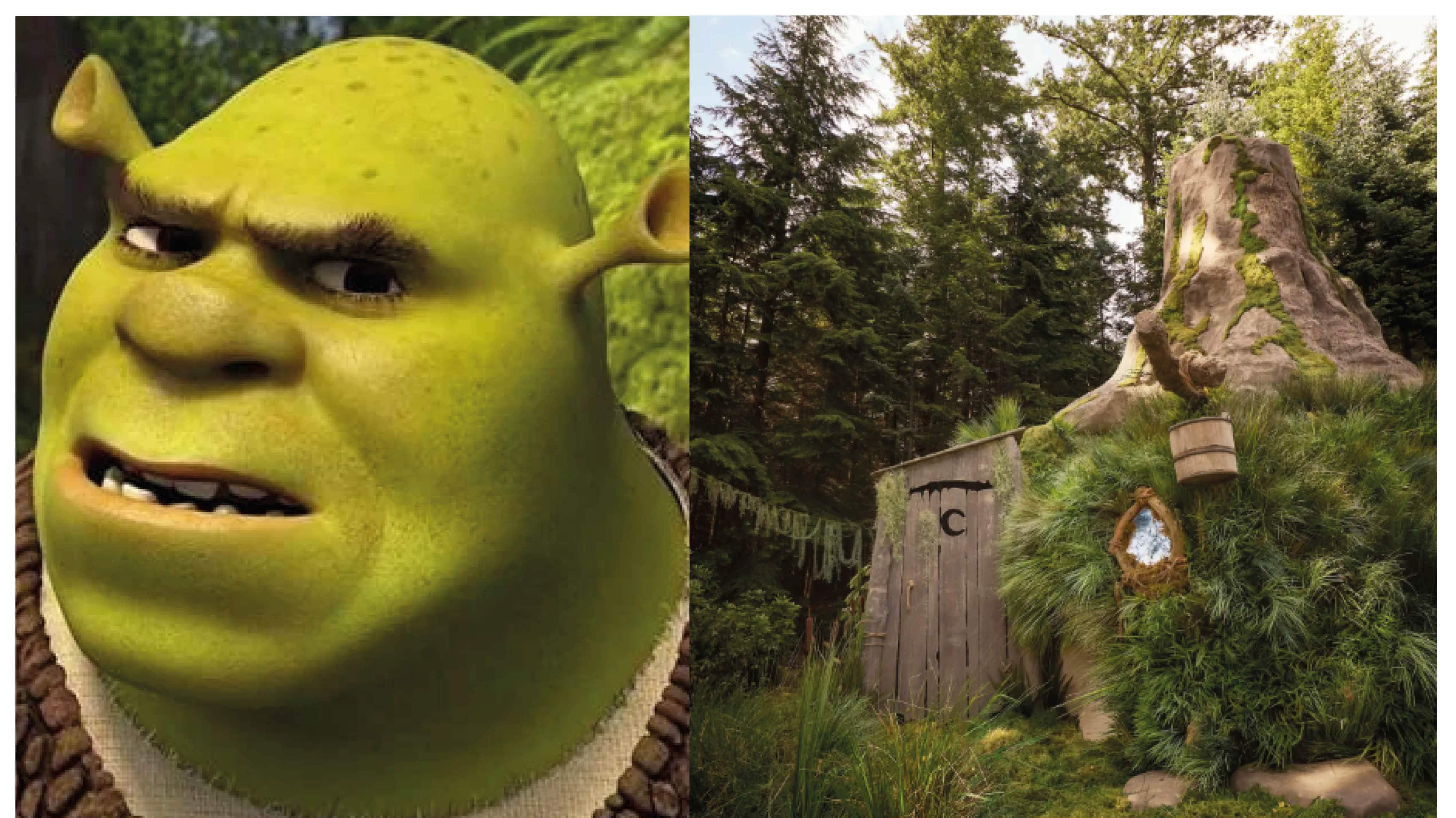 Visita la casa de Shrek y siéntete como todo un ogro.