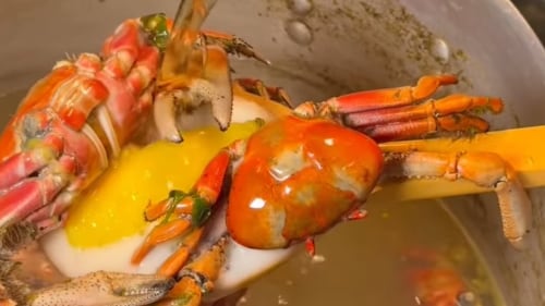 Taste Atlas se rinde ante la comida ecuatoriana.