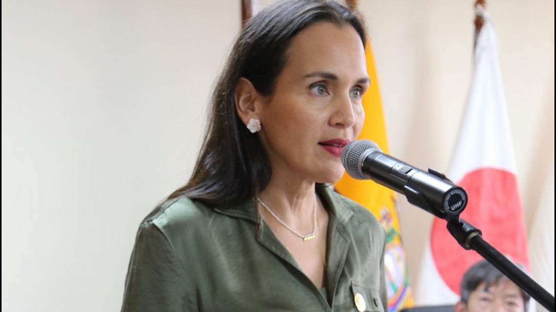 Ministra de Energía (e) Inés Manzano asegura que el Gobierno sí cumplirá su promesa, de que en diciembre se acaban los apagones