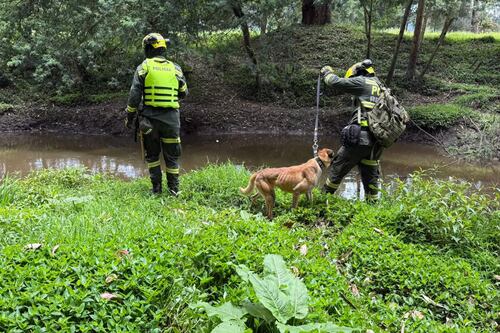 Revelan causa de fallecimiento de Valeria Afanador, la niña desaparecida en Colombia