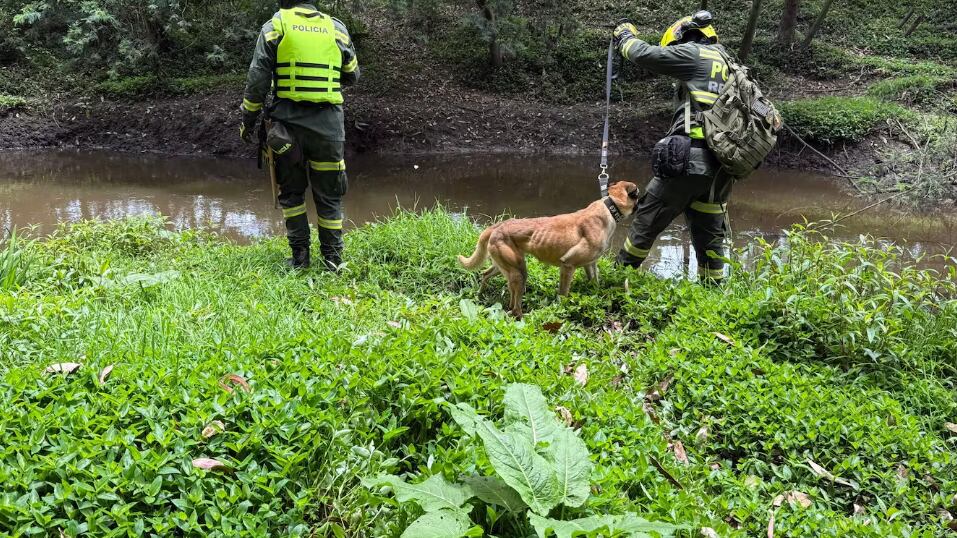 Policía de Colombia