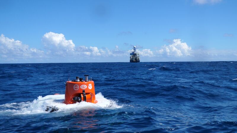 Nuevo arrecife de coral fue descubierto en las profundidades del archipiélago de Galápagos