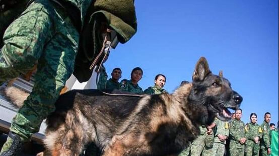Proteo, recibió homenaje en Turquía