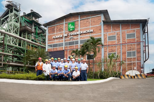 Planificación, tecnología y sostenibilidad: Así se cultiva el azúcar que llega a millones de hogares ecuatorianos