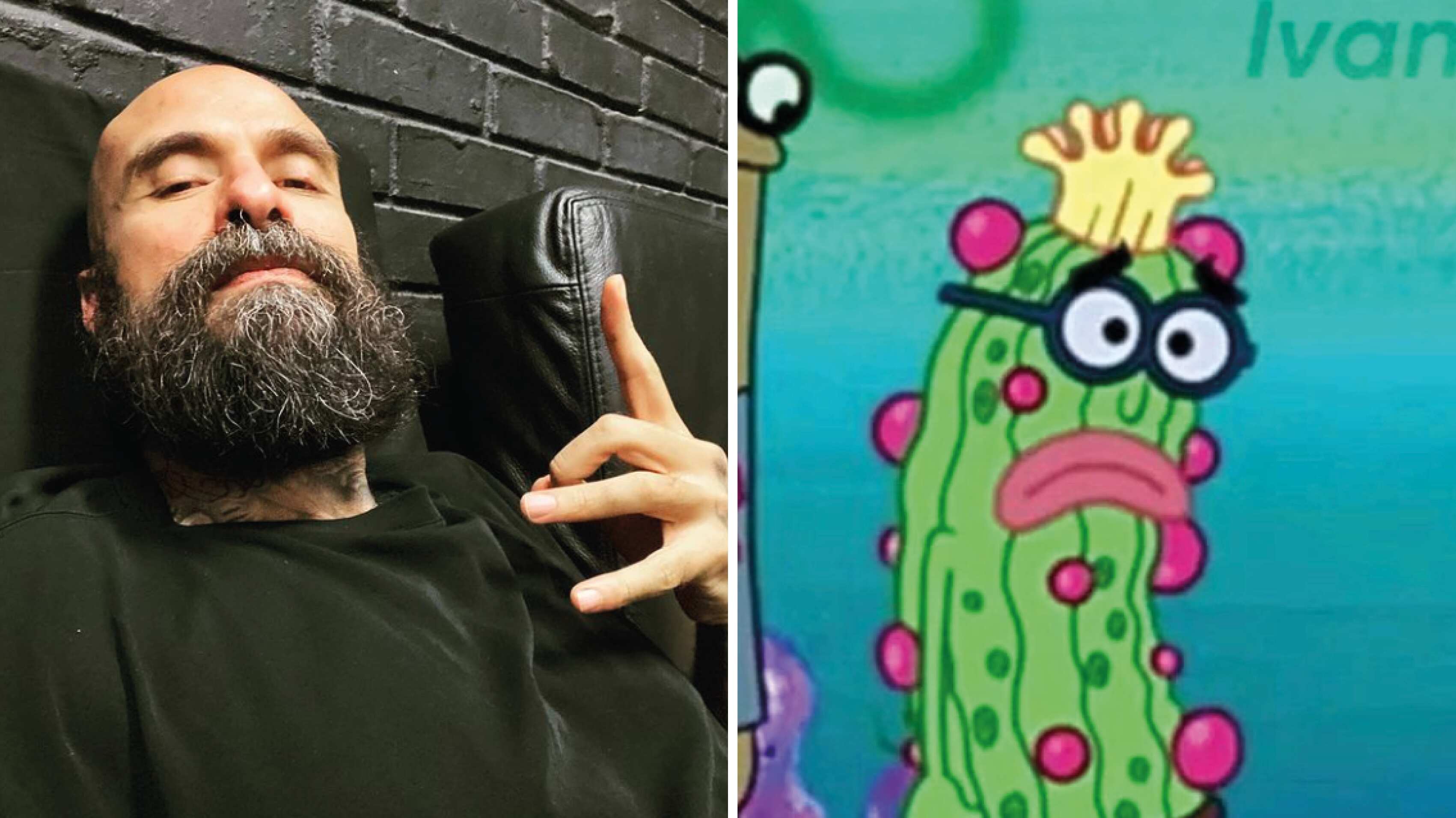 Babo Cartel de Santa