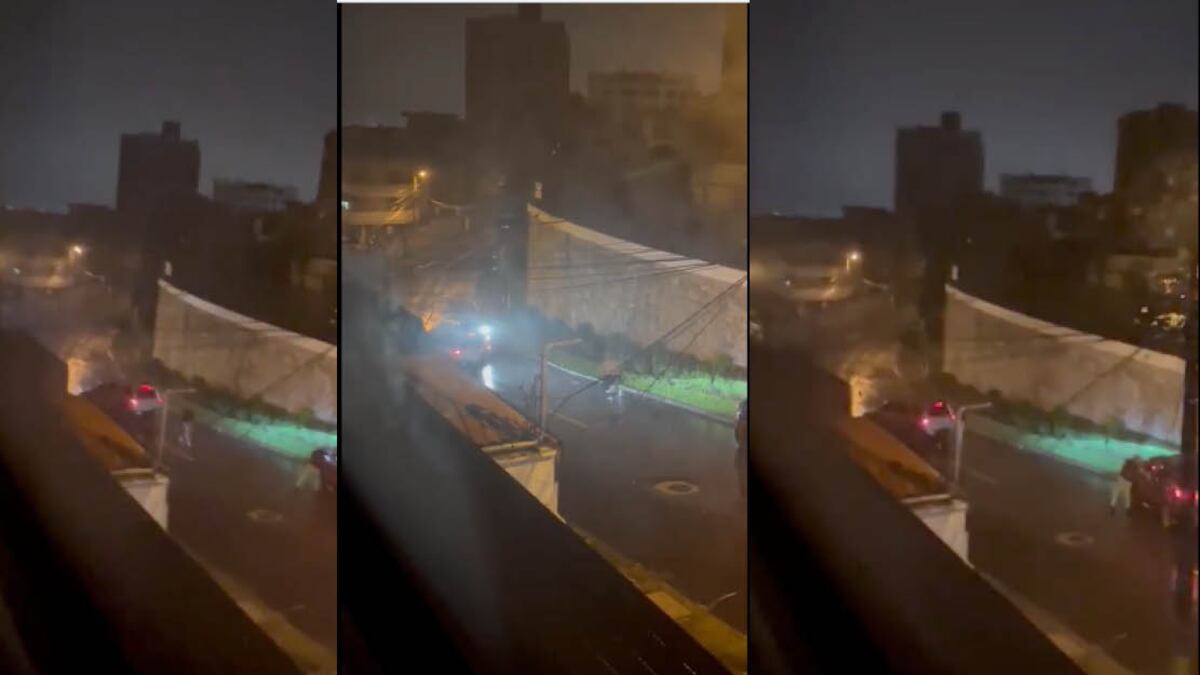 Asesinato en el sector El Bosque