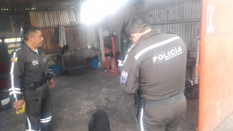 Fue asesinado y su cuerpo dejado en la vía a Papallacta; su hermana y un mecánico son sospechosos del crimen