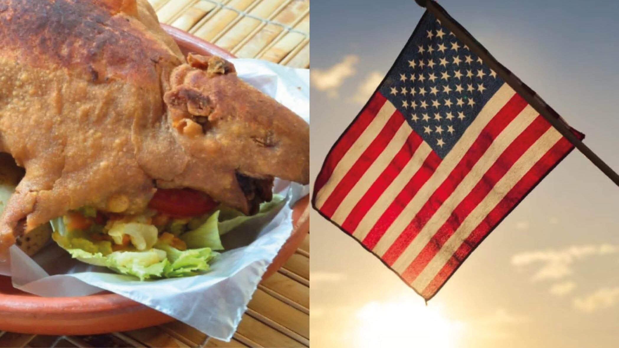 ¡Ecuatoriano! Si deseas comprar un cuy en Estados Unidos, esto es lo que te costará