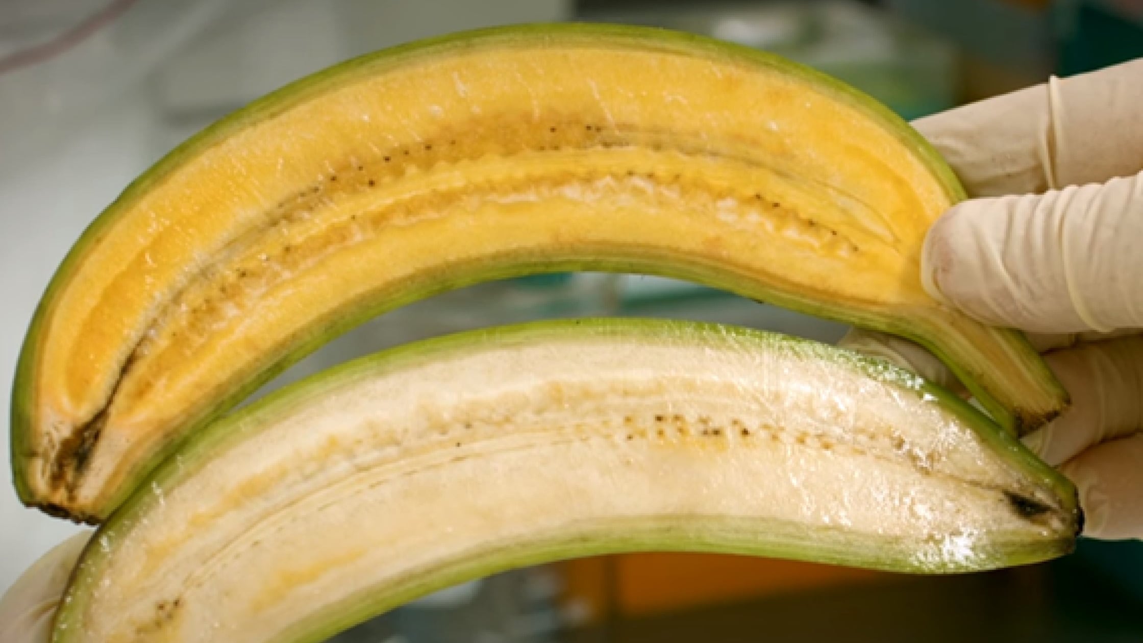 plátano, super plátano