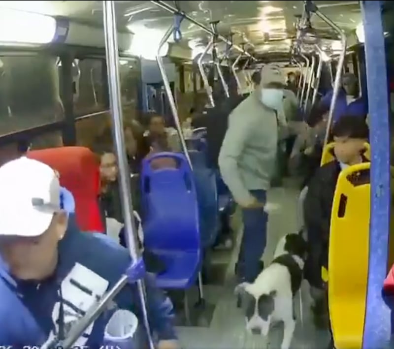 Fracción de “Los Lobos” liderada por alias “Chato” analizaba operativos policiales para saber donde asaltar buses en Quito