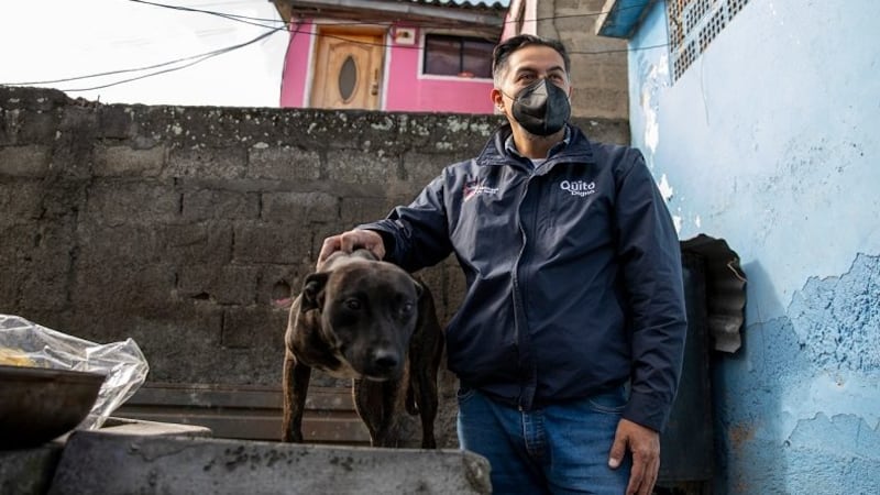 Casos de maltrato animal en Quito