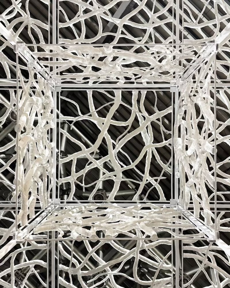 El proyecto Mórfosis reinventa el papel desechado, explorando cómo pueden reconfigurarse en una estructura “viva”. Foto: Raza Zahid.