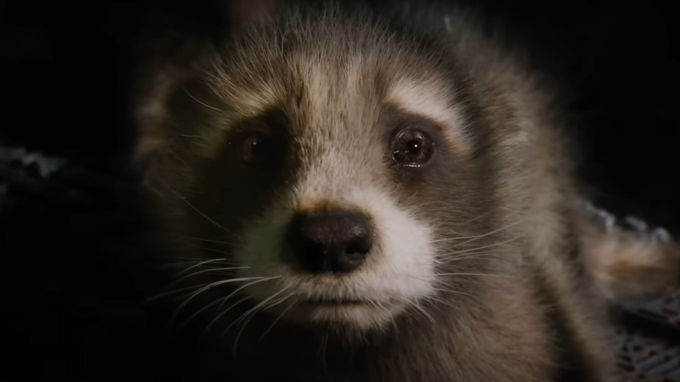 Baby Rocket
