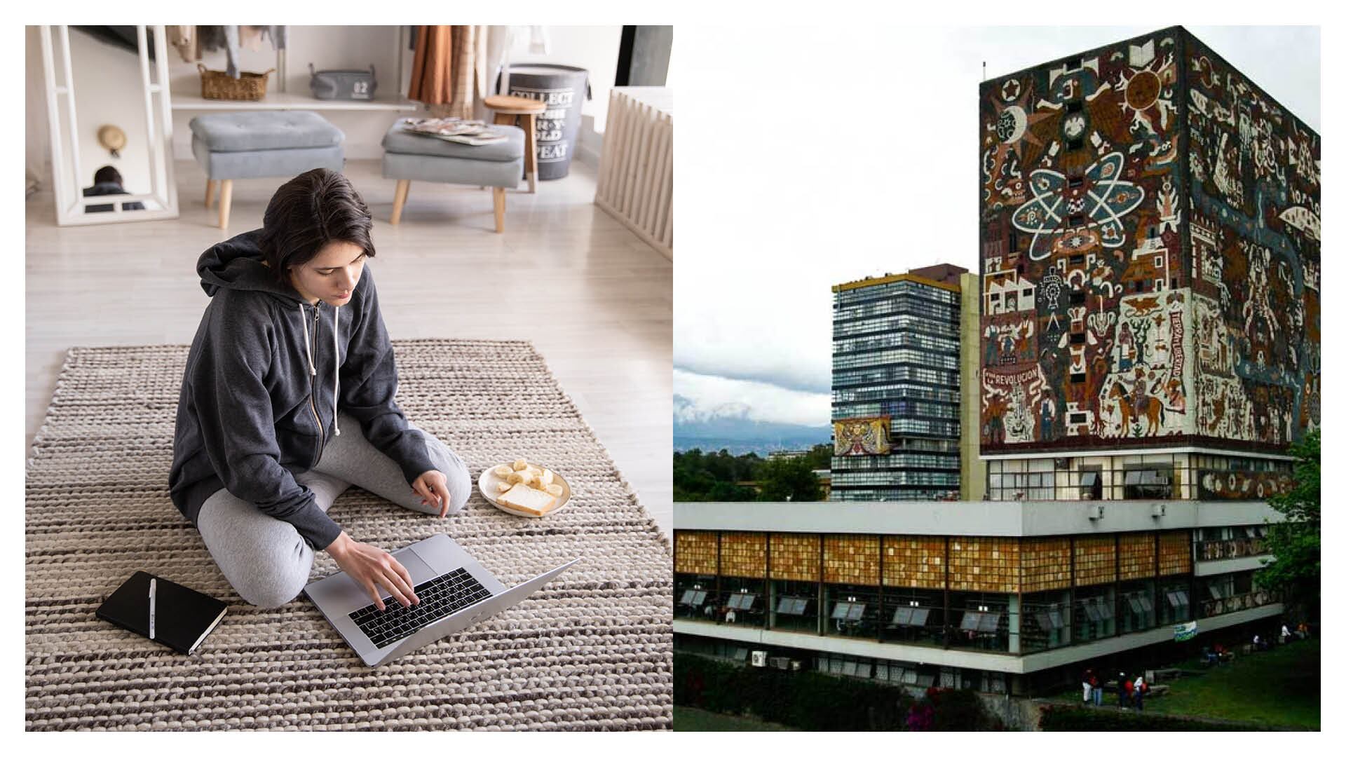 Estas son las diversas áreas en las que la institución ofrece capacitaciones.