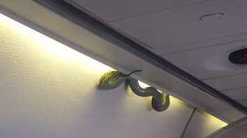 Twitter @Inda_medina