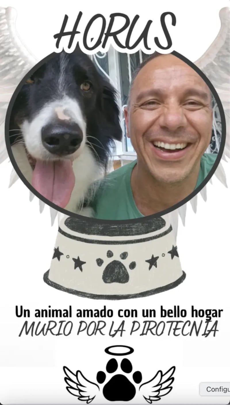 Horus, el perrito que murió por la pirotecnia