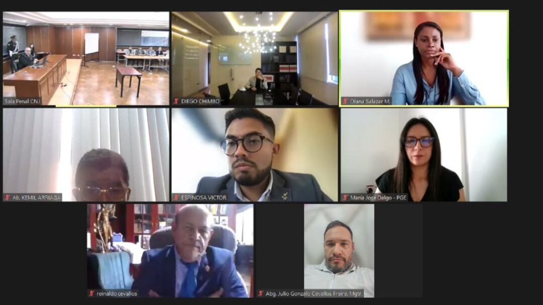 Audiencia telemática de revisión de medidas en el caso Purga