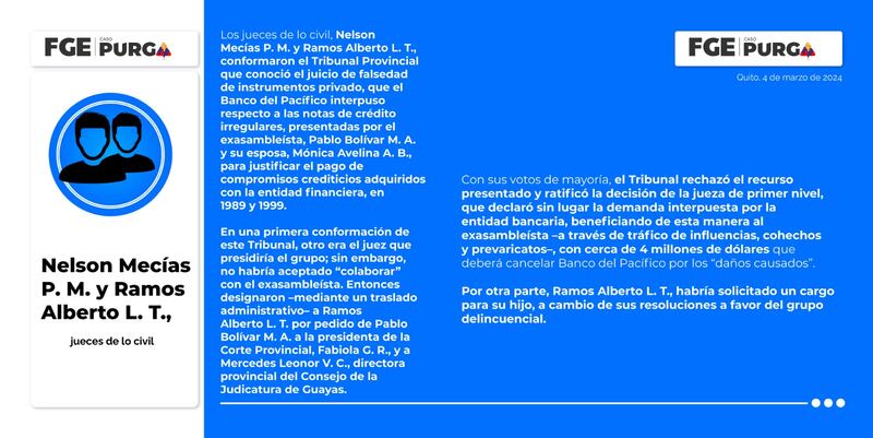 Caso Purga, el rol de Nelson Mecías P. M. y Ramos Alberto L. T., jueces de lo civil en Guayas.