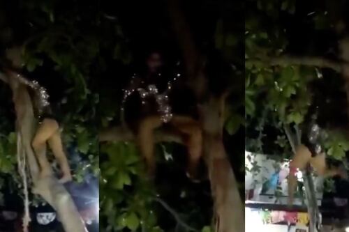 Doble de Gloria Trevi sufre grave accidente durante presentación