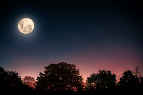 Luna llena y cometas: estos son los eventos astronómicos de febrero 2022