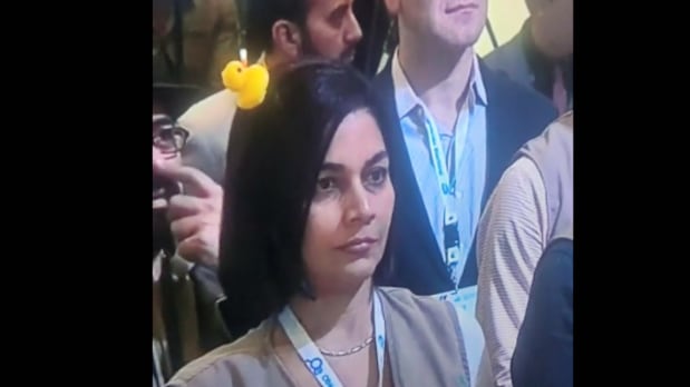Pato amarillo en la cabeza