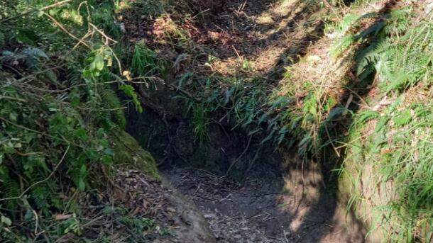 Municipio se pronunció