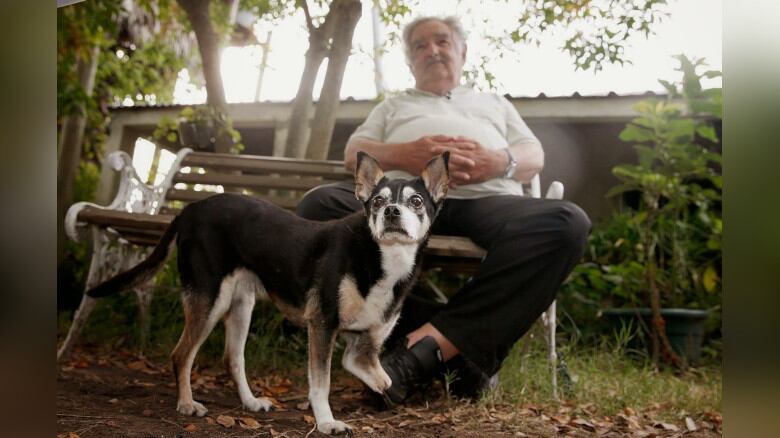 Pepe Mujica junto a Manuela, su mascota fiel