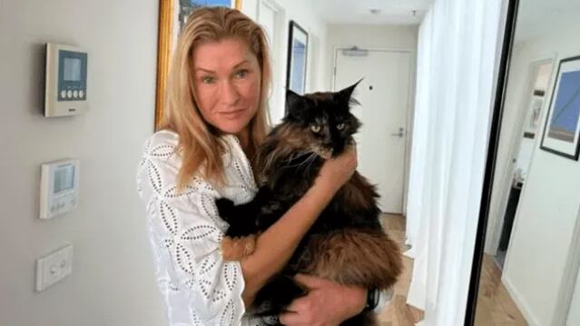 Una gata fue olvidada en las bodega de un avión.