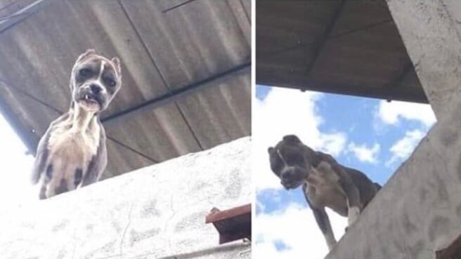 Foto tomada de Facebook.