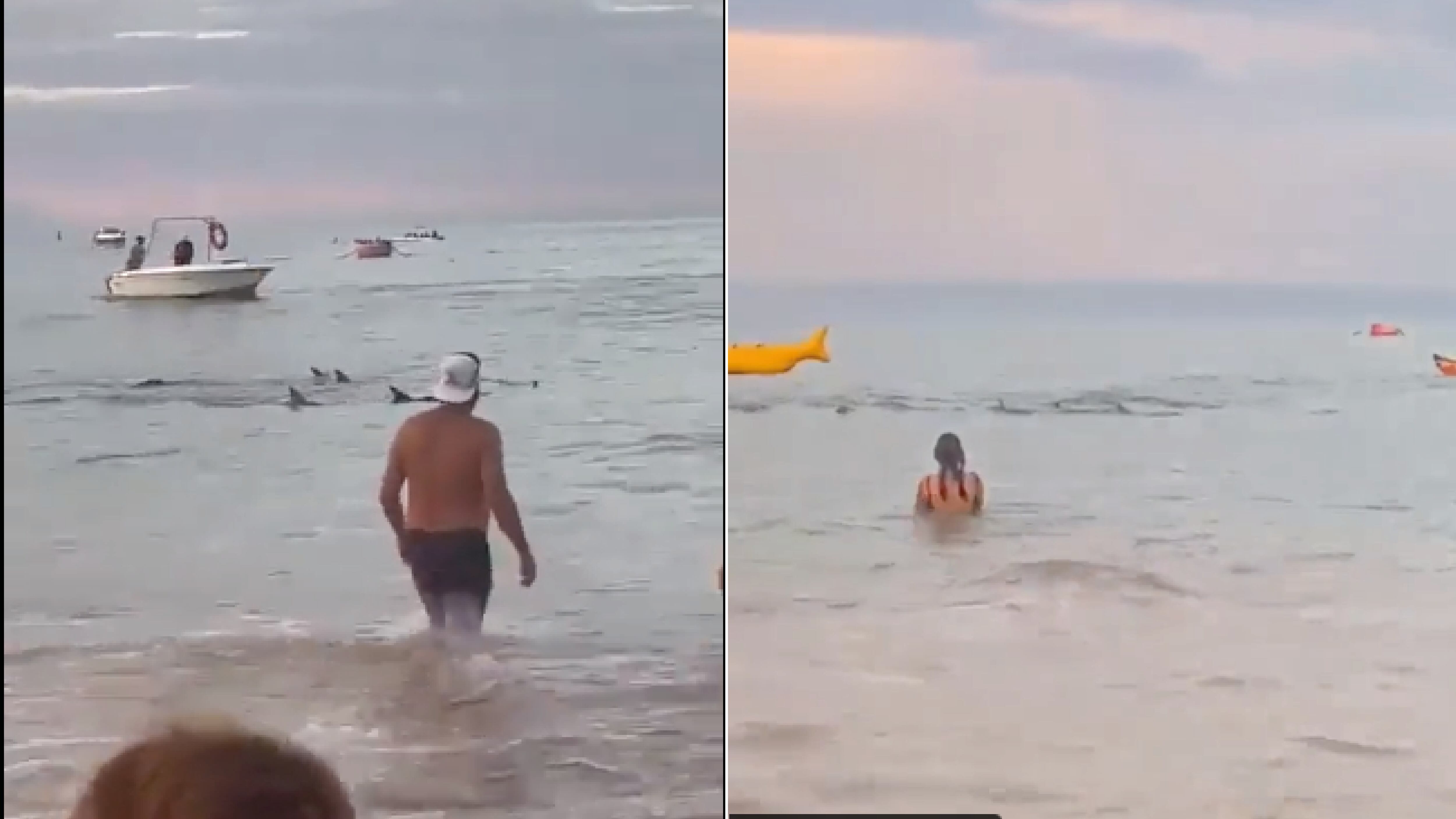 “Voy a sacar a los malos”: Jamil romperá el pacto con Sara y Sonnia en MasterChef Ecuador para sacarle provecho al pin del chef