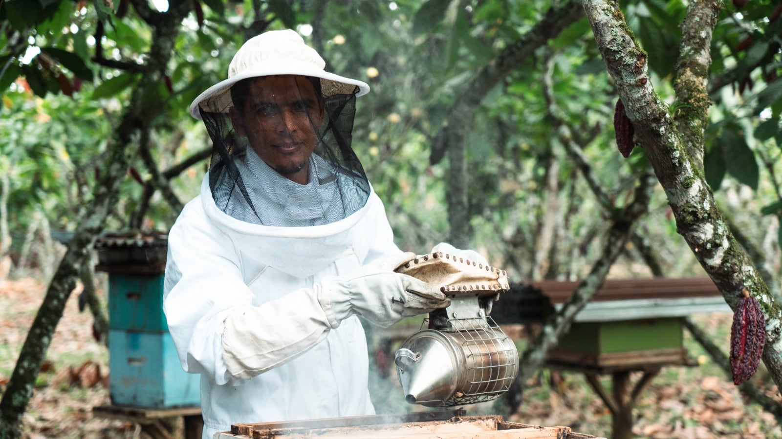 Nestlé Ecuador impulsa soluciones sostenibles para mitigar el calentamiento global